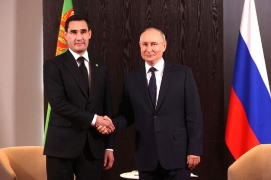 Сердар Бердымухамедов обсудил с Путиным вопросы туркмено-российского энергетического сотрудничества