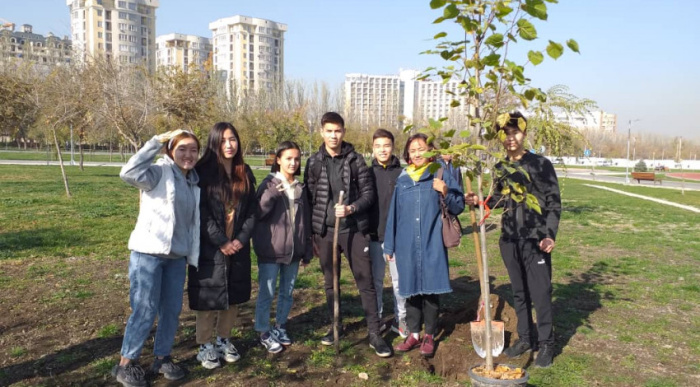 В Бишкеке каждое дерево получит онлайн-медкарту 