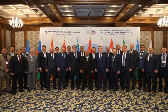 Представители Туркменистана приняли участие в заседании Электроэнергетического Совета СНГ