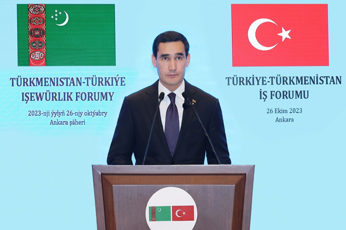 Туркменистан возведёт новую электростанцию в Туркменбаши для экспорта электроэнергии в Турцию