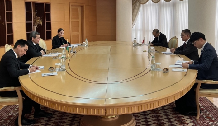 В Туркменистане глава МИД встретился с послом Японии
