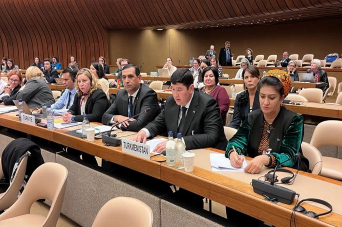 Туркменская делегация присоединилась к региональной конференции в Женеве