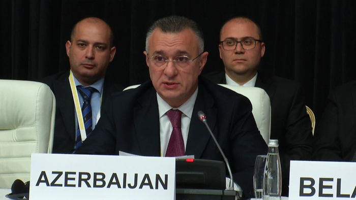 Глава Минздрава Азербайджана подчеркнул важность охраны здоровья населения