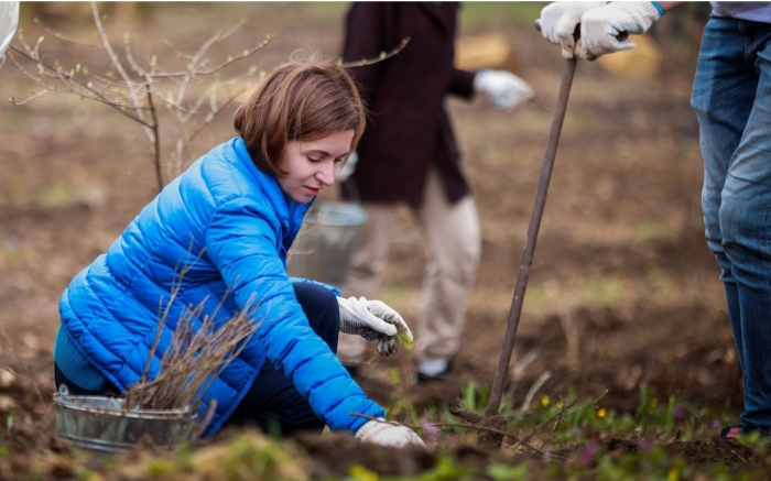 В Молдавии начали высадку 35 миллионов деревьев