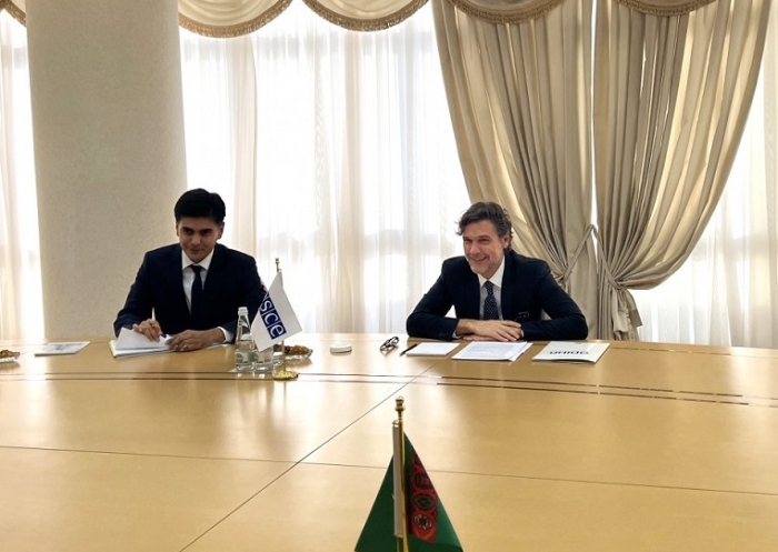 В МИД Туркменистана прошла встреча с директором БДИПЧ ОБСЕ