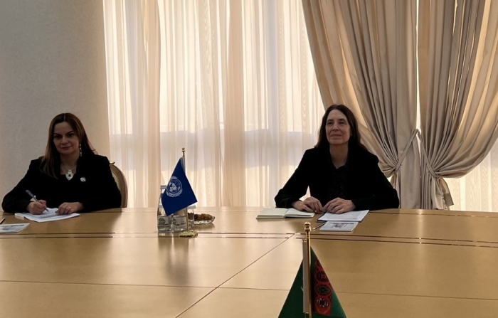 В МИД Туркменистана состоялась встреча с представителем УВКПЧ ООН