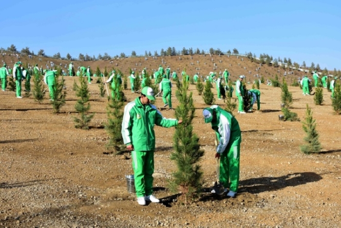 В Туркменистане состоялась массовая экологическая акция