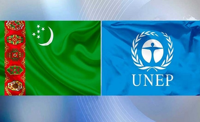 Туркменистан подтвердил готовность к углублению сотрудничества с ЮНЕП