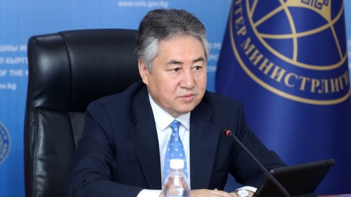 Киргизский МИД отстаивал интересы соотечественников в суде более 20 раз