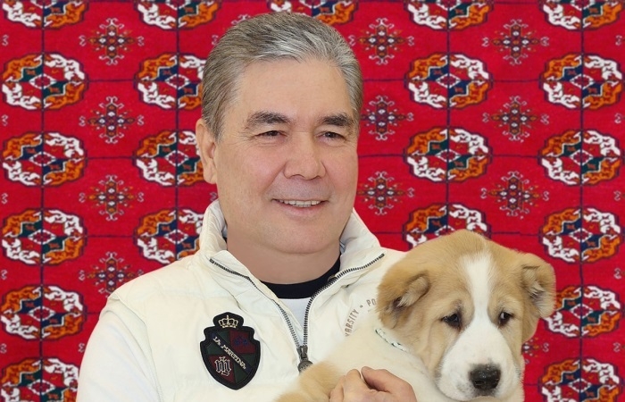 Главе Туркменистана подарили щенка по имени Шатлык