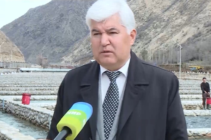 Россия будет импортировать форель из Таджикистана