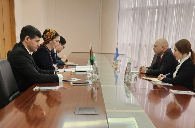 Замминистра иностранных дел Туркменистана встретилась с главой РЦПДЦА