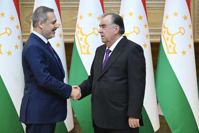 Таджикистан оценил визит главы МИД Турции