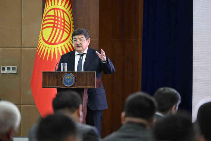 Премьер-министр Киргизии поручил местным властям заниматься развитием экономики