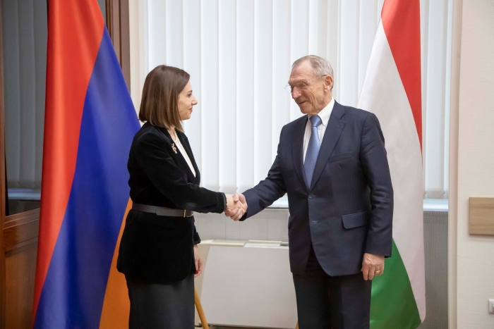 Армения и Венгрия укрепят связи в фармацевтике и медстраховании