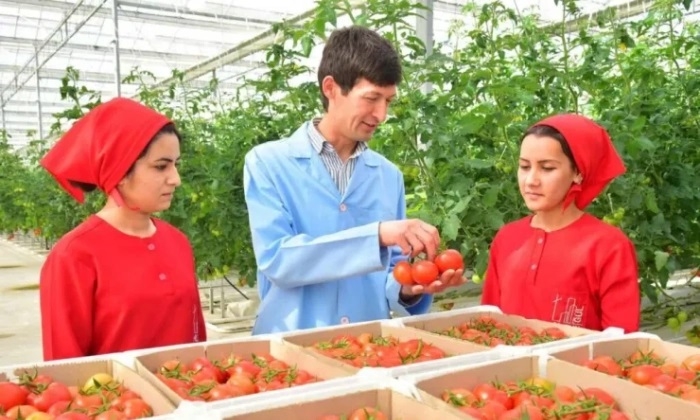 Предприниматели Туркменистана успешно вывели продукцию на внутренний и внешний рынки