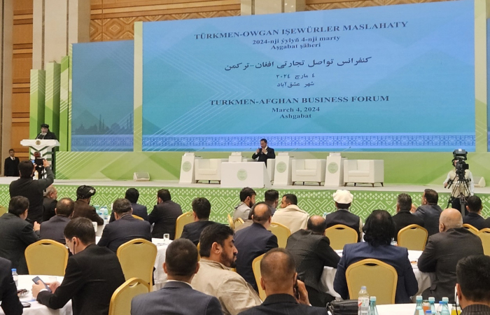 Туркменистан и Афганистан обсудили вопросы водного сотрудничества