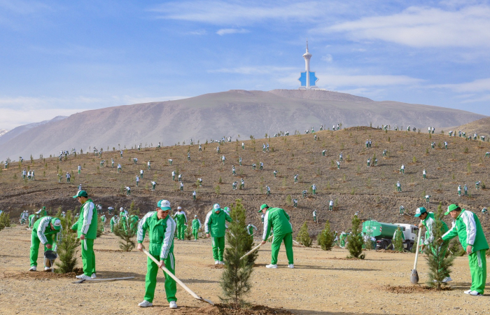 В Туркменистане прошла всенародная озеленительная акция