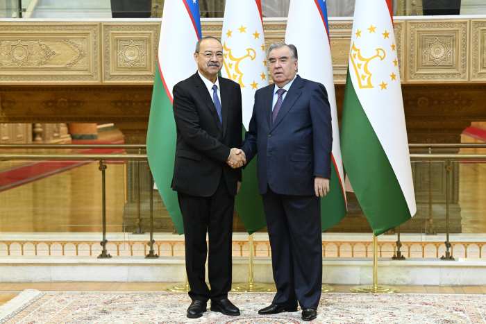 Таджикистан и Узбекистан сотрудничают в сфере «зеленой» экономики