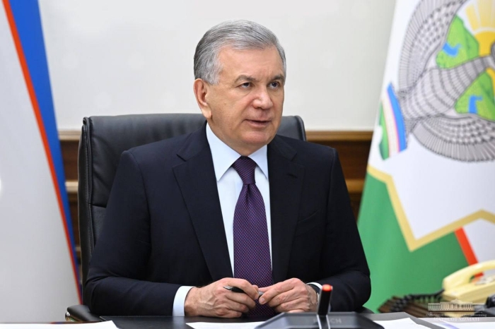 Недовольство планами по «зеленой» энергетике выразил глава Узбекистана