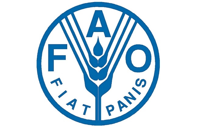 Туркменистан и ФАО изучат новые направления партнёрства в сфере сельского хозяйства