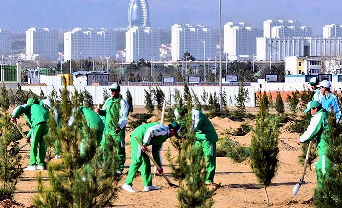 Всенародная озеленительная акция пройдёт в Туркменистане 16 марта