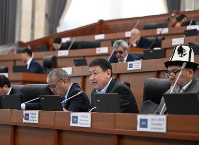 Депутаты Киргизии в третьем чтении приняли новый закон об НКО