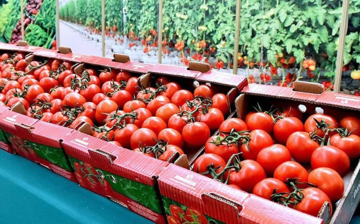 Из Туркменистана в российский порт Оля по морю прибыла партия свежих томатов
