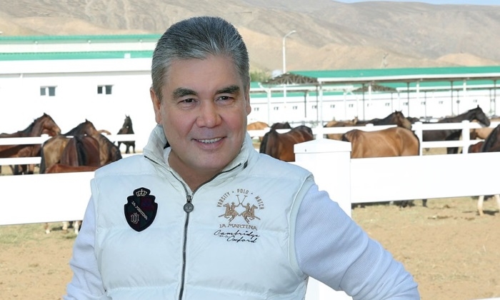 Туркменистан и Германия обсудили вопросы в области коневодства