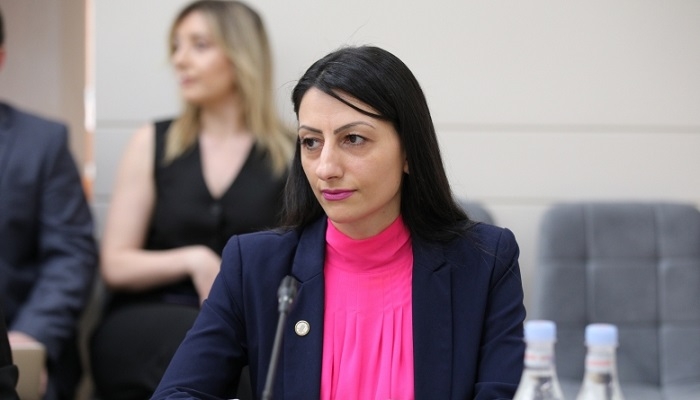 Защитник прав человека Армении ответила на вопрос о давлении госорганов