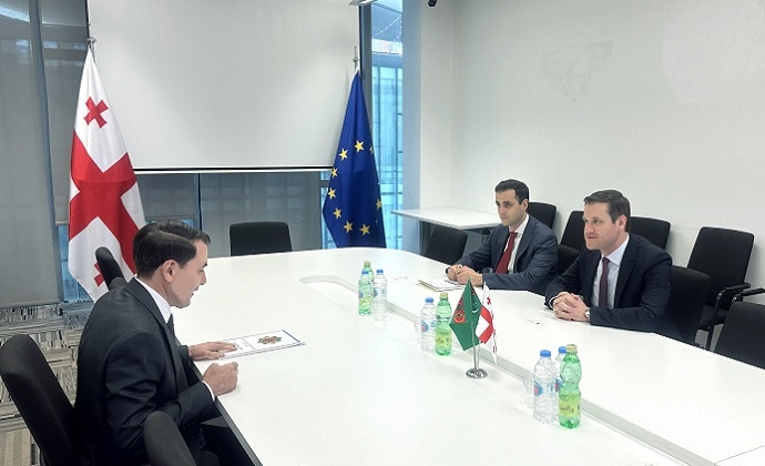 Ашхабад и Тбилиси обсудили реализацию совместных проектов в сфере экономики