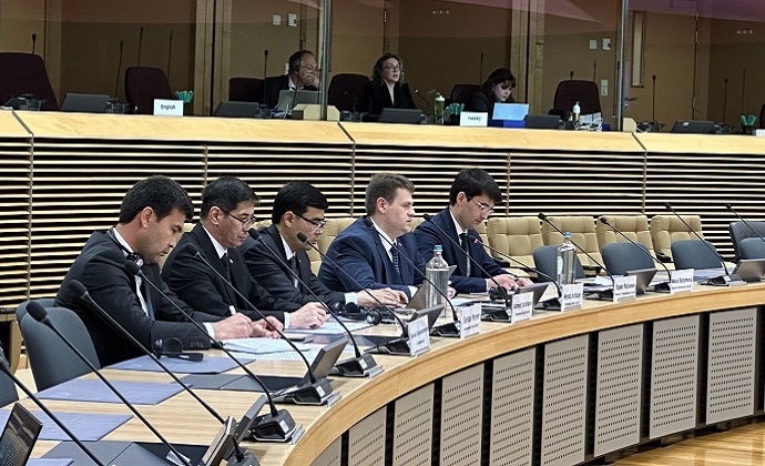 Брюссель принял заседание Рабочей группы Туркменистан-ЕС по энергетике