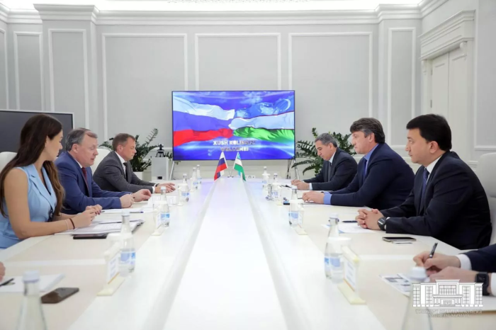 Ташкент и Екатеринбург сотрудничают в сферах энергетики и медицины