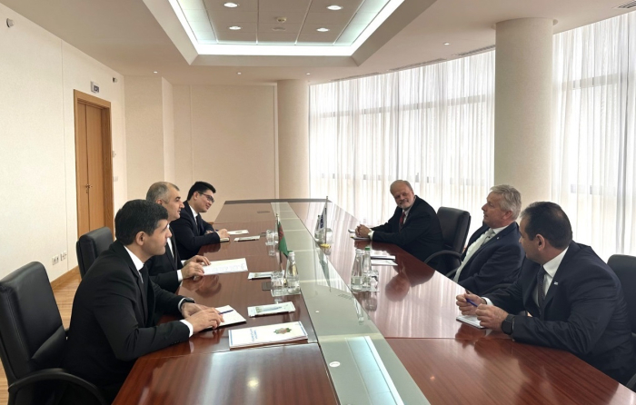 Замглавы МИД Туркменистана и представитель ПА ОБСЕ обсудили перспективы партнерства