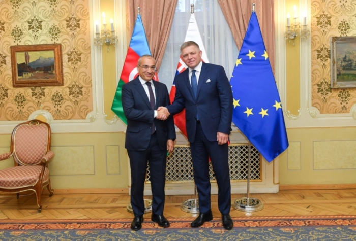 Министр экономики Азербайджана совершил рабочий визит в Словакию