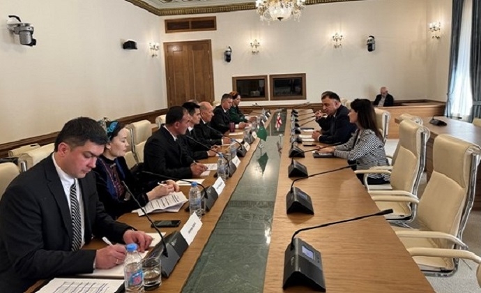 Представители Меджлиса Туркменистана и парламента Грузии обсудили сотрудничество